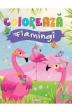 Coloreaza - Flamingi - Girasol