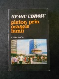 NEAGU UDROIU - PIETON PRIN ORASELE LUMII