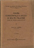 1717SPN Fisura congenitală a buzei și boltei palatine (buza de iepure și gura de lup) de docent dr I Aleman, șef de lucrări, cu 41 figuri, Cluj, 1931