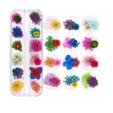 Kit nail art - flori uscate 12x5g