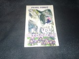 PAVEL CORUT - FIUL GETO DACIEI