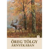&Ouml;reg t&ouml;lgy &aacute;rny&eacute;k&aacute;ban - Borsodi L&aacute;szl&oacute;