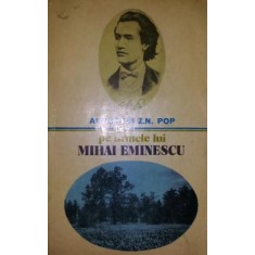 PE URMELE LUI MIHAI EMINESCU