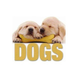 Cumpara ieftin Dogs (CubeBook) - Hardcover - *** - White Star