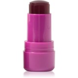 Technic Cosmetics Jelly Tint blush stick buze si obraz culoare Berry Cool 9 g