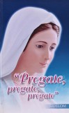Pregate, pregate, pregate (E317), Italiana, Brosata, 440 pagini, Carte Crestinism Religie, Stare Buna