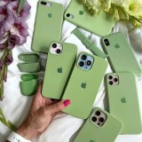 Cumpara ieftin Husa iPhone 11 Pro 5.8 Verde