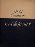 N. G. Cernisevski - Ce-i de facut? (Editia: 1956)