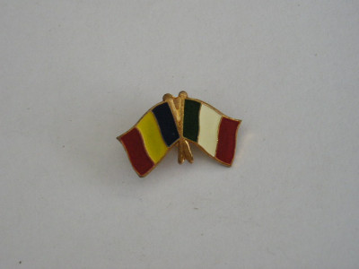 QW9 N3 9 - insigna - steaguri - Romania - Franta foto