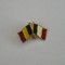 QW9 N3 9 - insigna - steaguri - Romania - Franta