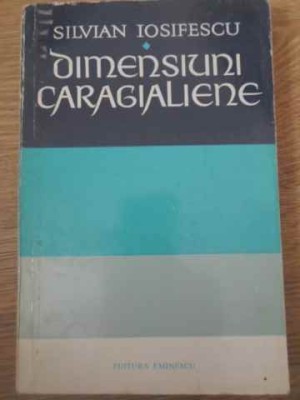 DIMENSIUNI CARAGIALIENE-SILVIAN IOSIFESCU-228954 foto