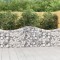 vidaXL Coșuri gabion arcuite 10 buc, 200x30x80/100cm, fier galvanizat 3145417