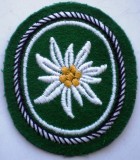 M.119 GERMANIA EMBLEMA ECUSON PATCH MILITAR BUNDESWEHR 1 Gebirgsdivision