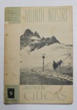 MUNTII NOSTRI - MUNTII CIUCAS
