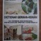 Dictionar german roman, cu termeni din domeniul instalatiilor pentru constructii- Ion Borza, Olga Bancea