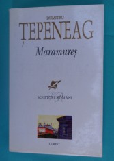Dumitru Tepeneag ? Maramures foto