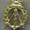 Y 1736 INSIGNA - MILITARA -SEMN DE ARMA -INGINER GENIU -PENTRU COLECTIONARI