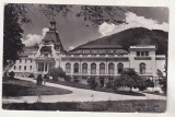 Bnk cp Sinaia - Casa de cultura - necirculata, Printata