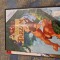 Dvd copii Tarzan