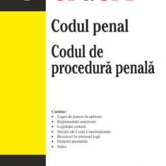 Codul penal. Codul de procedură penală - Paperback brosat - Petruţ Ciobanu - Rosetti Internaţional