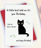 Cumpara ieftin Felicitare amuzanta cu pisica care a mancat pasarea, SaraTremo