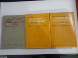 ANATOMIE PATOLOGICA vol. I; II; III - sub redactia I. MORARU