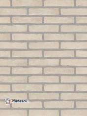 Placaj klinker Terca Agora Nevel Wit, 21.5x5x2.3 cm foto