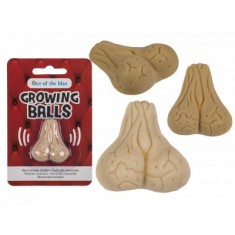 Growing testicle, 4x3cm