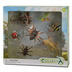 Set 7 Insecte Collecta, multicolor, 3 ani+