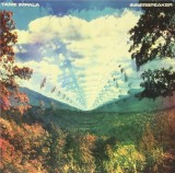 Innerspeaker - Vinyl | Tame Impala