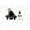 Pivot brat suspensie Honda Civic 8 Hatchback (Fn, Civic 8 Sedan (Fd, 1.8 (FN1, FK2), Type R (FN2), 1.3 IMA (FA3, FD3), 1.3 IMA (FD3), 1.6 (FD6), 1.8, Teknorot
