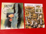 CACTUȘI/CIUPERCI - COLIȚE ȘTAMPILATE