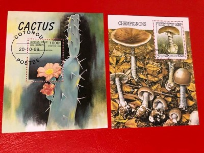 CACTUȘI/CIUPERCI - COLIȚE ȘTAMPILATE foto