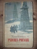 Padurea Poenari- Ioana Postelnicu