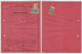 Romania, Primaria Municipiului Oradea, Certificat de Nationalitate, 1945