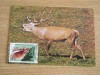 C12 - maxima Romania - tematica animale 1 - prima zi a emisiunii sau expozitii, Romania de la 1950, Fauna
