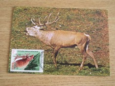 C12 - maxima Romania - tematica animale 1 - prima zi a emisiunii sau expozitii