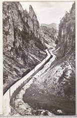 bnk cp Defileul Dambovicioarei - Vedere - uzata