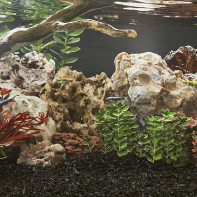 Pietre dragon, 10 kg, gri, 10-40 cm foto
