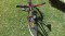 icon 10