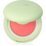 Catrice Pistachio Cream Delight blush cremos culoare C01 Peach-Tachio Dream 4.4 g