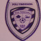 Fanion fotbal - POLI TIMISOARA