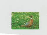 bnk card Cartele telefonice - Coreea de Sud - fauna - pasari - Pheasant (Letter W) - Col:MO9501102 (W)