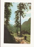 RF6 -Carte Postala- Muntii Fagaras, Cabana Balea-Cascada circulata