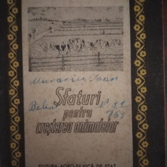 Sfaturi pentru cresterea animalelor 1958