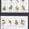 Ajman 1971 fauna pasari MI 879-894 MNH