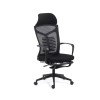 Scaun ergonomic SYYT 9502