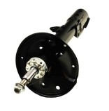 Amortizor TOYOTA RAV 4 II (_A2_) (2000 - 2005) MAXGEAR 11-1169