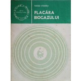 FLACARA BIOGAZULUI. ENERGIE PRIN CONVERSIE METANOGENA-VASILE STANCU-236091