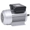 VidaXL Motor electric monofazat aluminiu 2,2 kW / 3CP 2 poli 2800 RPM 148002